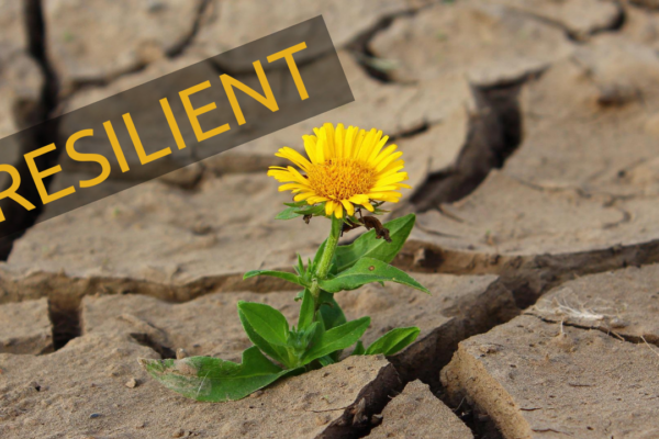 6 Things Resilient People Do