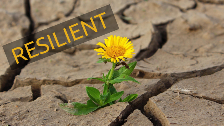 6 things resilient people practice